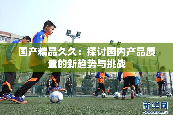 国产精品久久：探讨国内产品质量的新趋势与挑战