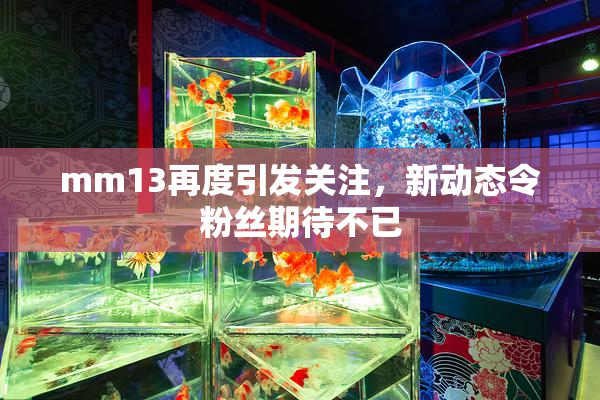 mm13再度引发关注，新动态令粉丝期待不已
