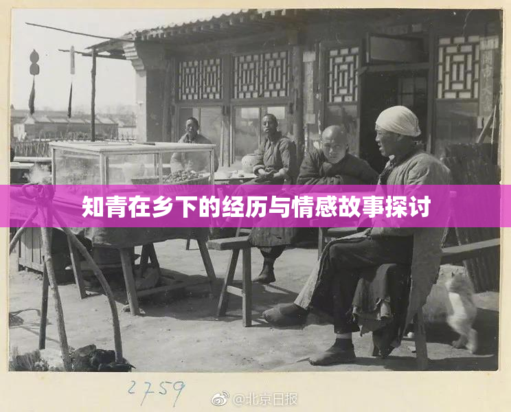 知青在乡下的经历与情感故事探讨