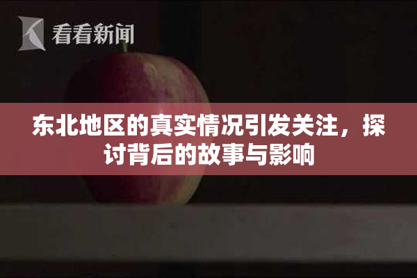 东北地区的真实情况引发关注，探讨背后的故事与影响