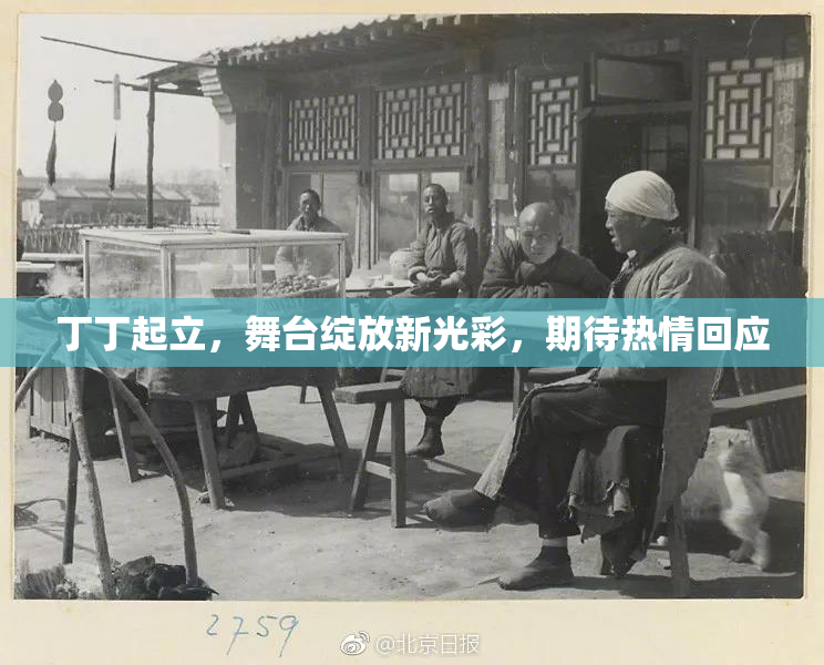 丁丁起立，舞台绽放新光彩，期待热情回应