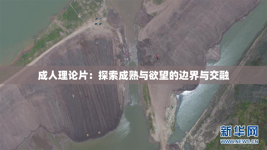 成人理论片：探索成熟与欲望的边界与交融