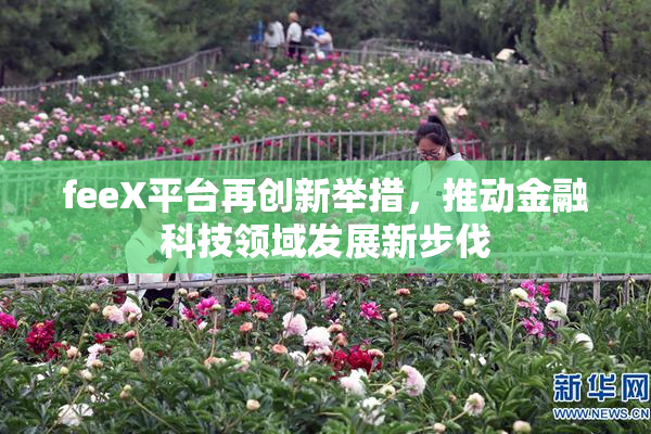 feeX平台再创新举措，推动金融科技领域发展新步伐