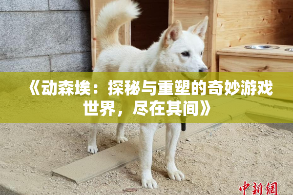 《动森埃：探秘与重塑的奇妙游戏世界，尽在其间》