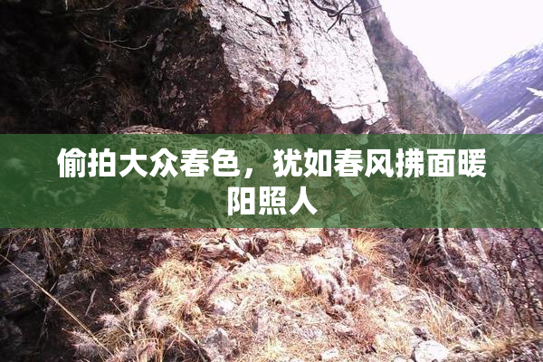 偷拍大众春色，犹如春风拂面暖阳照人