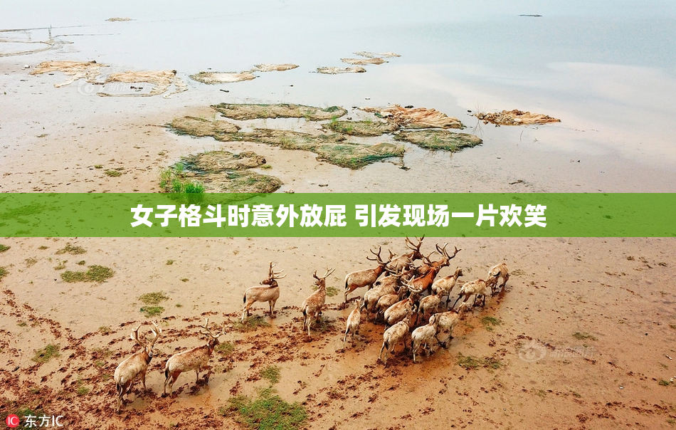 女子格斗时意外放屁 引发现场一片欢笑