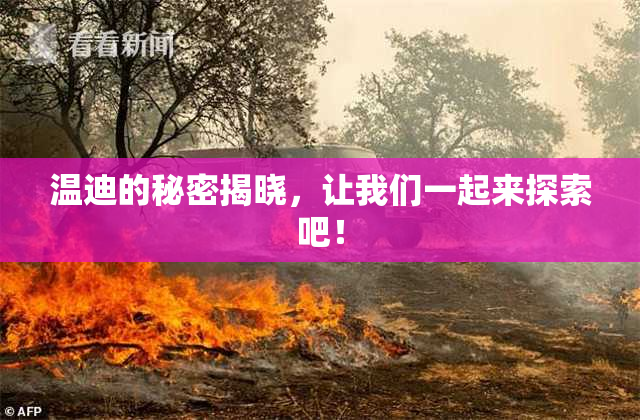 温迪的秘密揭晓，让我们一起来探索吧！