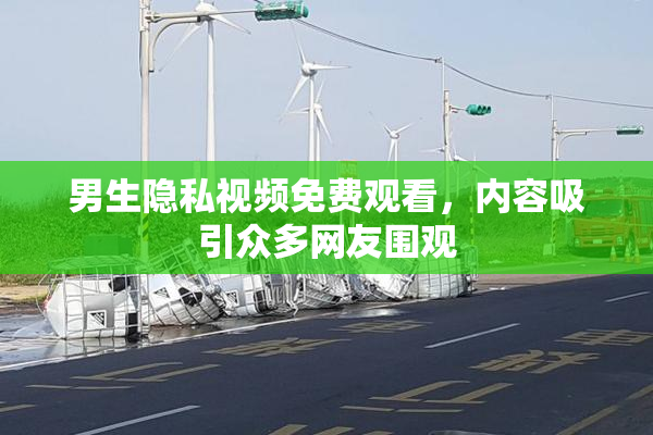 男生隐私视频免费观看，内容吸引众多网友围观