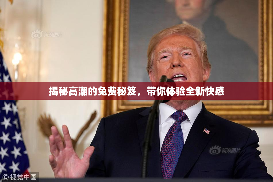 揭秘高潮的免费秘笈，带你体验全新快感