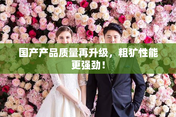 国产产品质量再升级，粗犷性能更强劲！