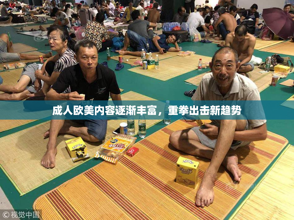 成人欧美内容逐渐丰富，重拳出击新趋势