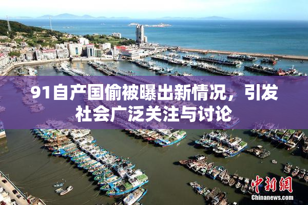 91自产国偷被曝出新情况，引发社会广泛关注与讨论