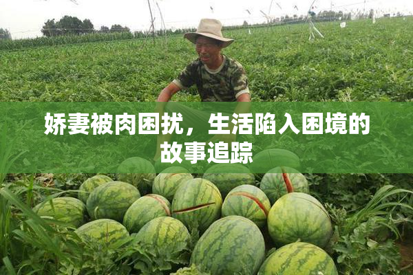 娇妻被肉困扰，生活陷入困境的故事追踪