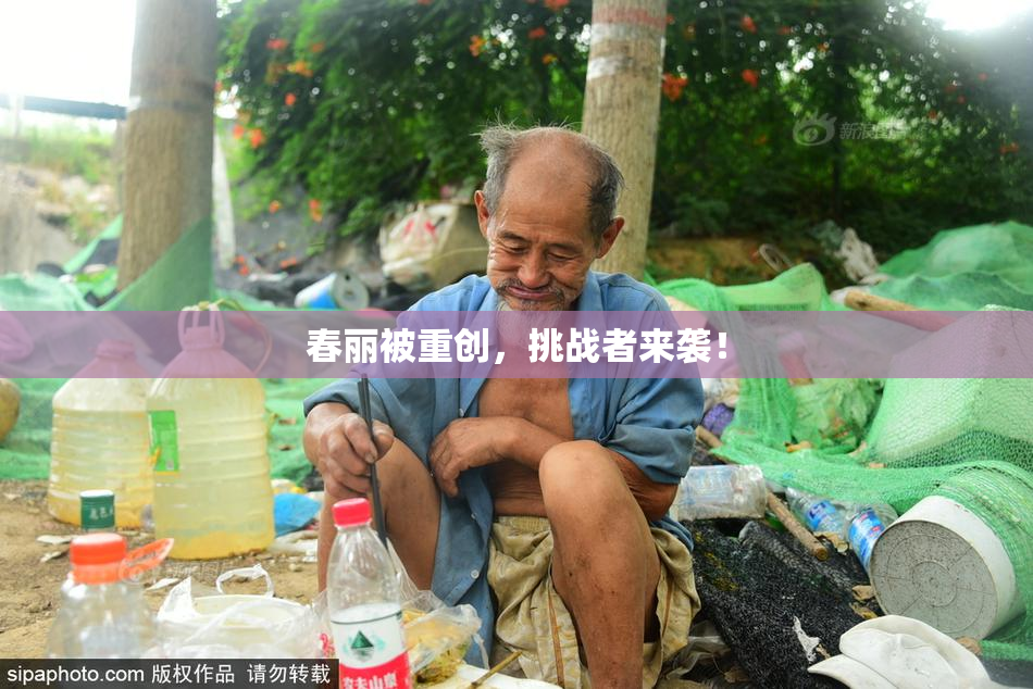 春丽被重创，挑战者来袭！