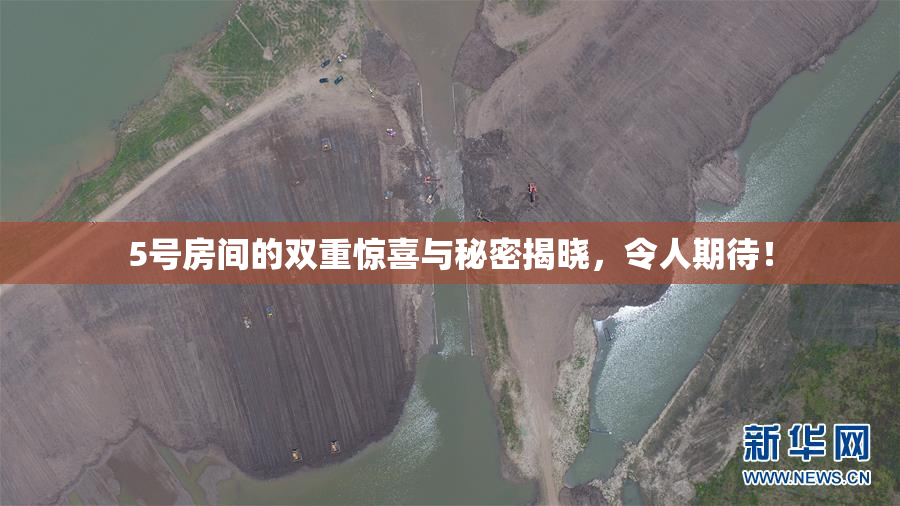 5号房间的双重惊喜与秘密揭晓，令人期待！