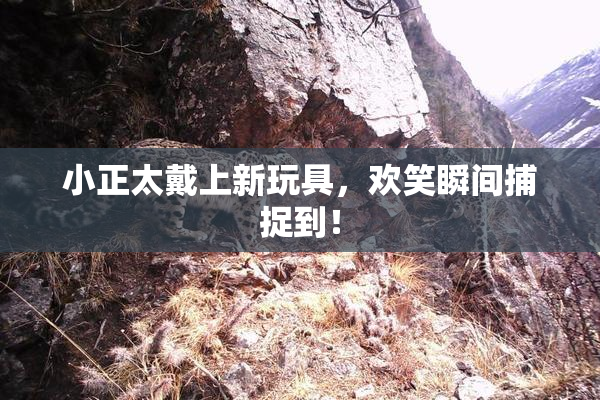 小正太戴上新玩具，欢笑瞬间捕捉到！