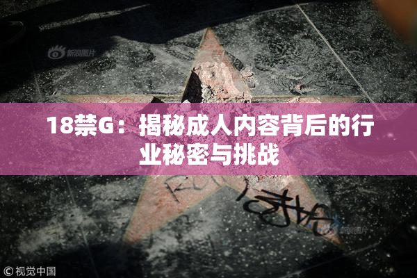 18禁G：揭秘成人内容背后的行业秘密与挑战