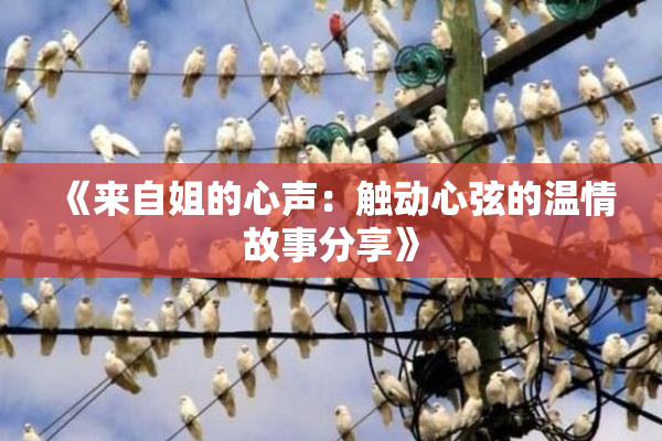 《来自姐的心声：触动心弦的温情故事分享》