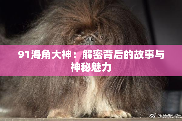 91海角大神：解密背后的故事与神秘魅力