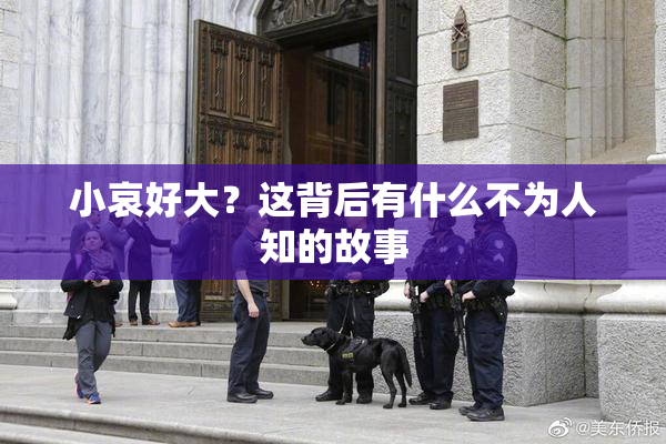 小哀好大？这背后有什么不为人知的故事