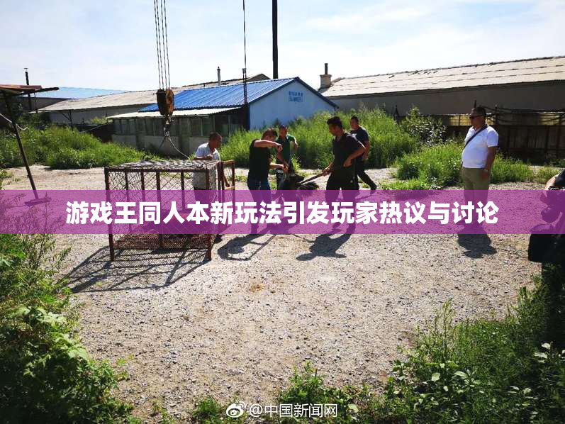 游戏王同人本新玩法引发玩家热议与讨论