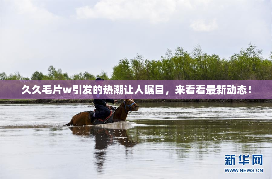 久久毛片w引发的热潮让人瞩目，来看看最新动态！