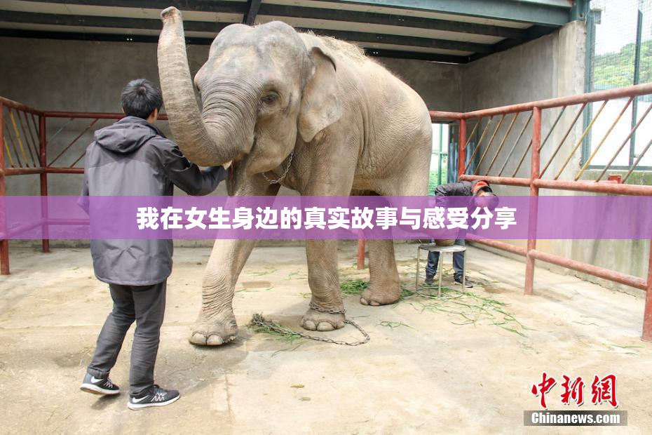 我在女生身边的真实故事与感受分享