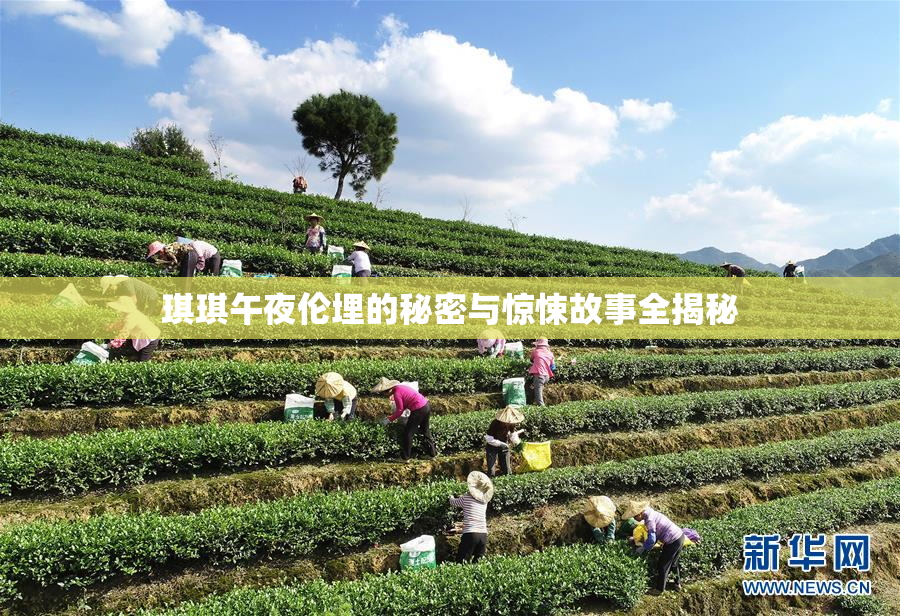 琪琪午夜伦埋的秘密与惊悚故事全揭秘