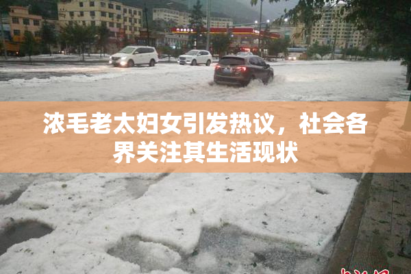 浓毛老太妇女引发热议，社会各界关注其生活现状