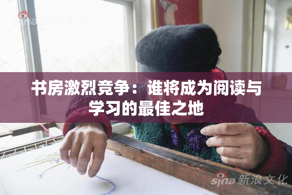书房激烈竞争：谁将成为阅读与学习的最佳之地