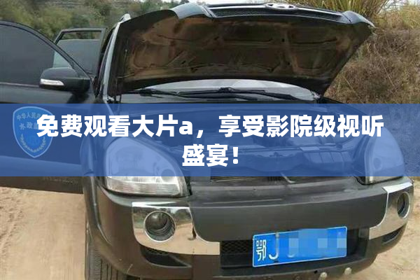 免费观看大片a，享受影院级视听盛宴！