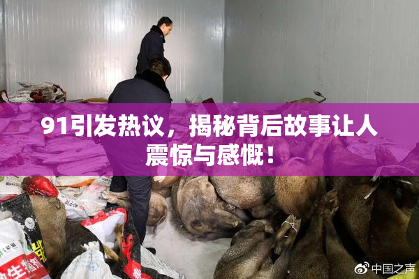 91引发热议，揭秘背后故事让人震惊与感慨！