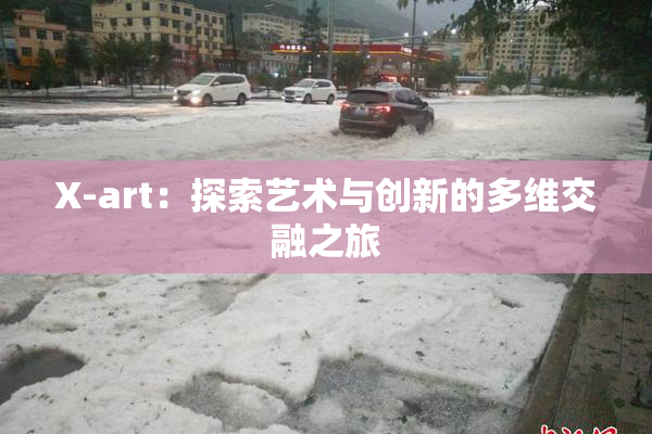X-art：探索艺术与创新的多维交融之旅