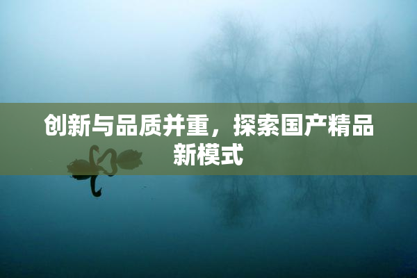 创新与品质并重，探索国产精品新模式