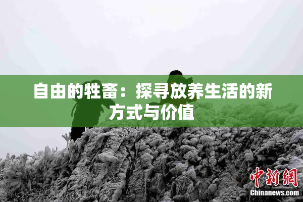 自由的牲畜：探寻放养生活的新方式与价值