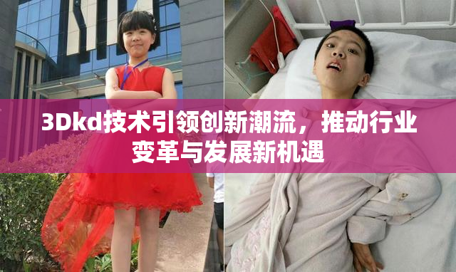 3Dkd技术引领创新潮流，推动行业变革与发展新机遇
