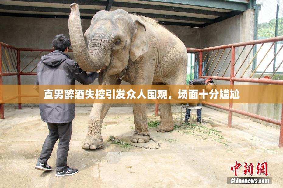 直男醉酒失控引发众人围观，场面十分尴尬
