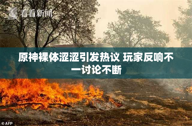 原神裸体涩涩引发热议 玩家反响不一讨论不断