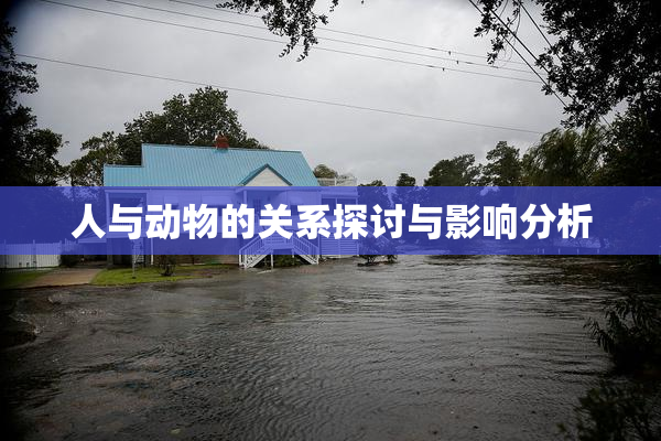 人与动物的关系探讨与影响分析