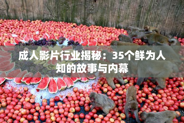 成人影片行业揭秘：35个鲜为人知的故事与内幕