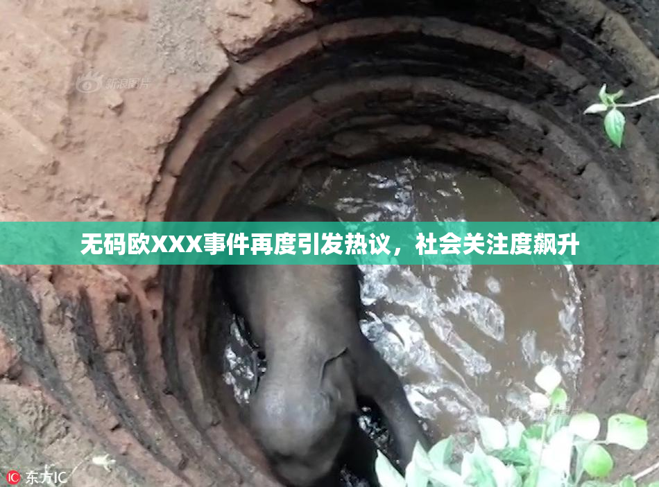 无码欧XXX事件再度引发热议，社会关注度飙升