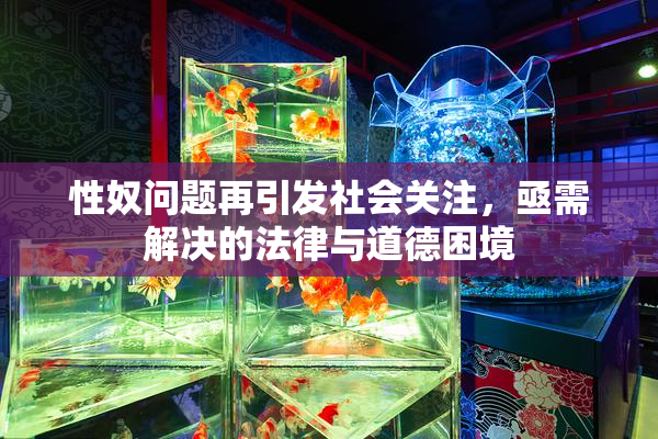 性奴问题再引发社会关注，亟需解决的法律与道德困境