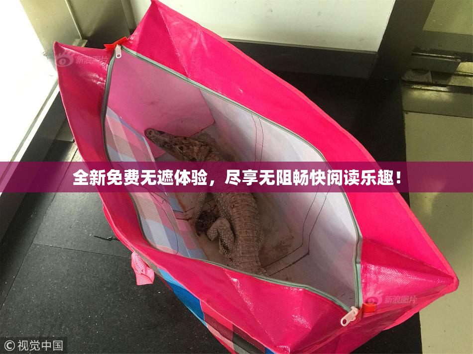 全新免费无遮体验，尽享无阻畅快阅读乐趣！