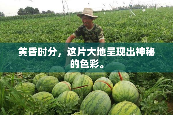 黄昏时分，这片大地呈现出神秘的色彩。