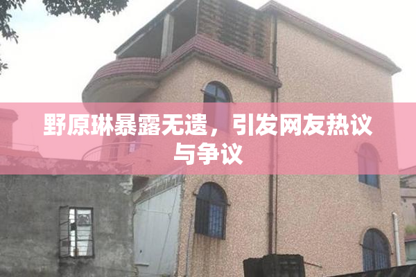 野原琳暴露无遗，引发网友热议与争议