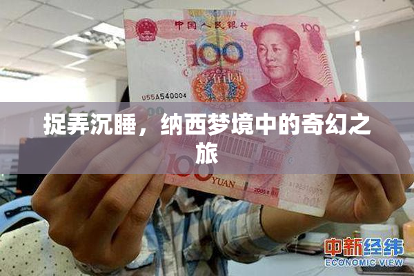 捉弄沉睡，纳西梦境中的奇幻之旅