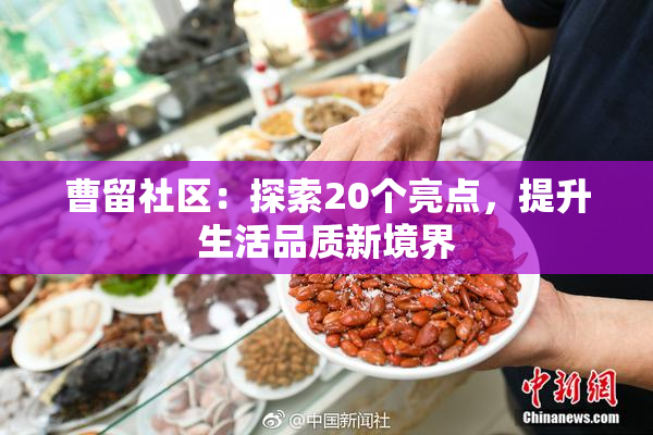 曹留社区：探索20个亮点，提升生活品质新境界