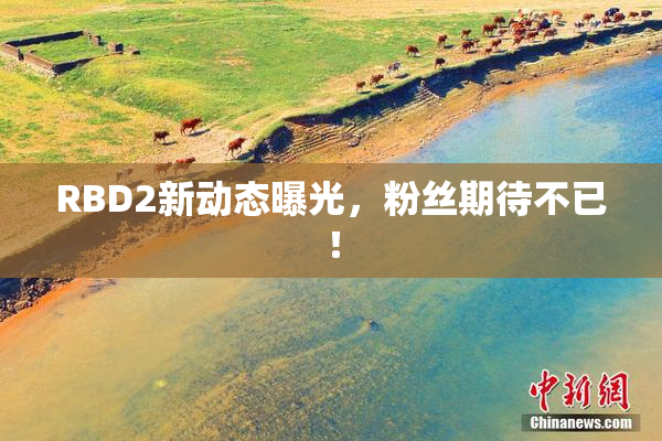 RBD2新动态曝光，粉丝期待不已！