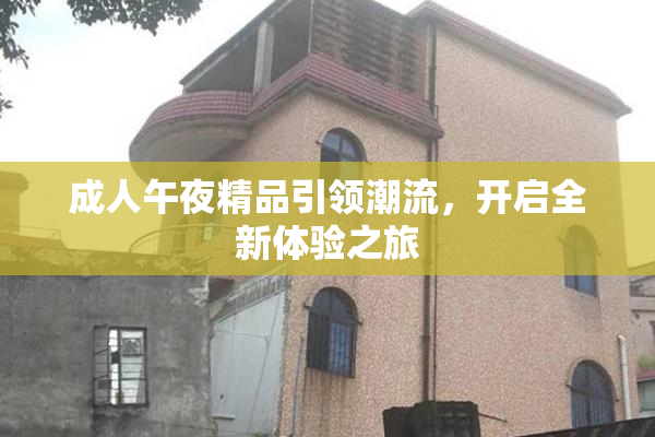 成人午夜精品引领潮流，开启全新体验之旅