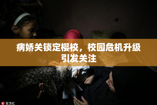 病娇关锁定樱校，校园危机升级引发关注